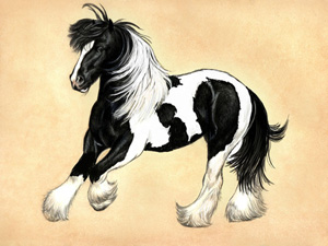An illustration of black and white gypsy horse