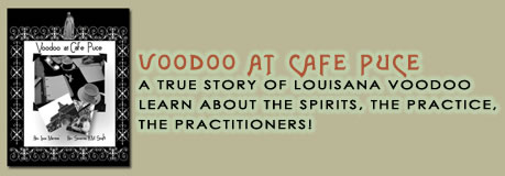 New Orleans <b><b>Voodoo</b></b> book