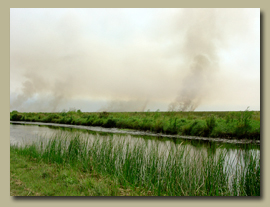 Smoke rising off of a marsh with a bayou in the foreground